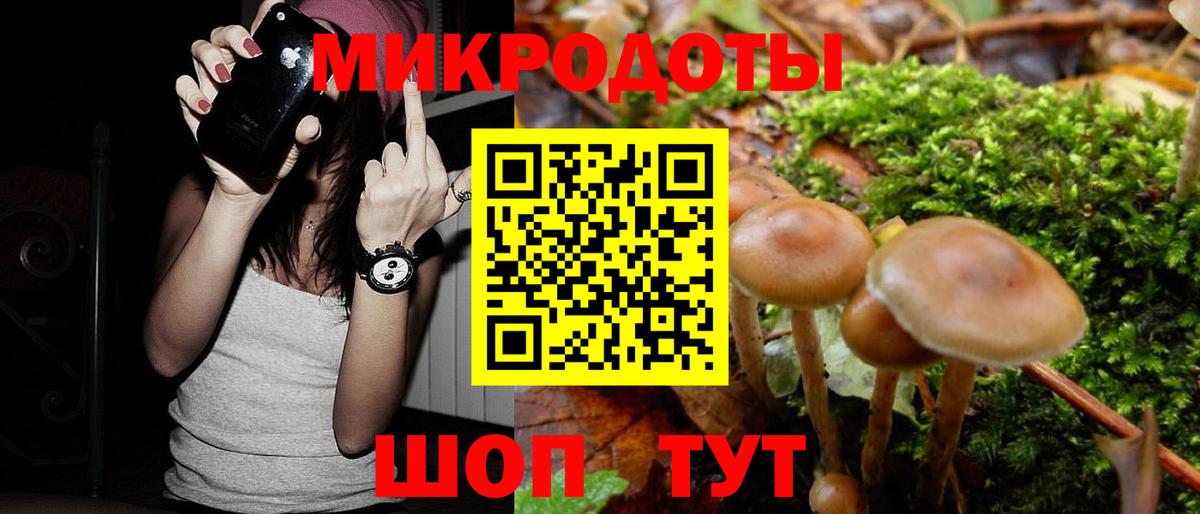 Заречный  Псилоцибиновые грибы Psilocybine cubensis  Вход с VPN 